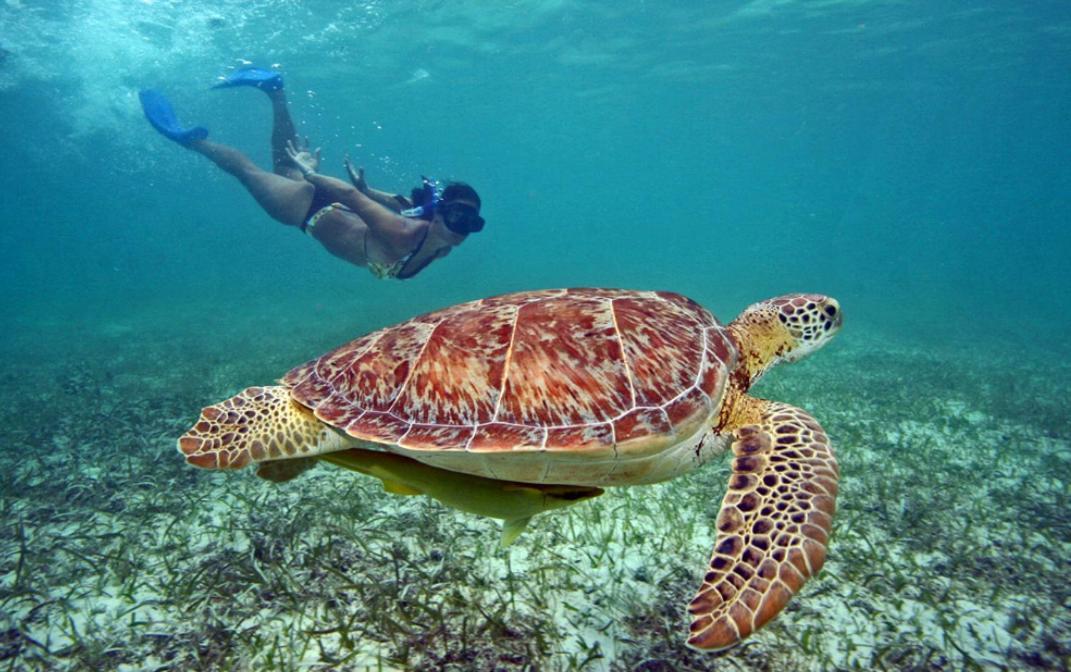 Margaritas Daire Cancun Dış mekan fotoğraf